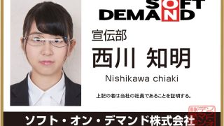 13dsvr00244jp 3